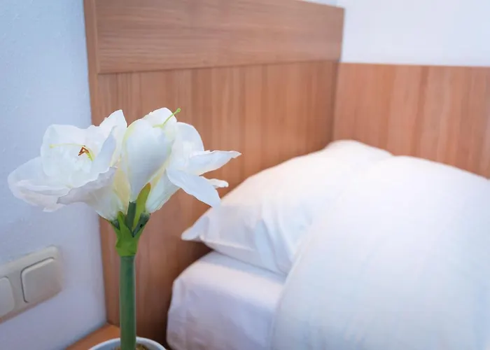 Restaurant Maria Johanna Hoeve Πανδοχείο *